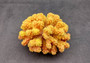 Yellow Faux Coral Cluster - Pocillopora Elegans - (1 FAUX Coral approx. 5Wx3Dx4T). Orange and pink tinted fluffy heavily textured coral cluster with many arms. Copyright 2024 SeaShellSupply.c