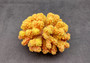 Yellow Faux Coral Cluster - Pocillopora Elegans - (1 FAUX Coral approx. 5Wx3Dx4T). Orange and pink tinted fluffy heavily textured coral cluster with many arms. Copyright 2024 SeaShellSupply.c