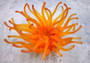 Orange FAUX Anemone - Condylactis Gigantea - (1 FAUX Anemone, Approx. 6Wx3Dx6T). Long armed orange to yellow  ombre anemone with a round base. Copyright 2024 SeaShellSupply.com.