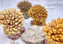 Yellow FAUX Table Coral - Acropora Hyacinthus - (1 FAUX Coral approx. 3Dx4Tx4W inches). Orange thick fluffed coral set on rock. Copyright 2024 SeaShellSupply.com.