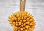 Yellow FAUX Table Coral - Acropora Hyacinthus - (1 FAUX Coral approx. 3Dx4Tx4W inches). Orange thick fluffed coral set on rock. Copyright 2024 SeaShellSupply.com.