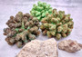 Green FAUX Cluster Coral - Pocillopora Elegans - 1 faux coral approx. 5Wx3Dx4T on light background Copyright 2024 SeaShellSupply.com.