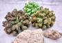 Green Tan FAUX Coral Cluster Pocillopora Elegans (1 FAKE coral approx. 5Wx3Dx4T inches) Neat coral cluster for any coastal collection!