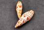 Episcopal Miter Shells - Mitra Mitra - (2 shells approx. 2-3 inches). Multiple white shells with orange dots forming little lines, all in a pile. Copyright 2024 SeaShellSupply.com.