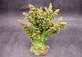 Green FAUX Branch Coral - Acropora Florida - (1 Fake Coral approx. 7.5Tx7Wx2D inches) on light background. Copyright 2024 SeaShellSupply.com.