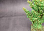 Green FAUX Branch Coral - Acropora Florida - (1 Fake Coral approx. 7.5Tx7Wx2D inches) on light background. Copyright 2024 SeaShellSupply.com.