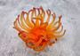 Orange/Yellow FAUX Anemone Condylactis Gigantea - (1 FAKE Anemone approx. 5Wx2Dx5T inches)