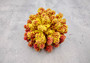 Yellow Rose FAUX Cluster Coral Pocillopora Elegans (1 FAKE Coral approx. 5Wx3Dx4T) Perfect coral for any costal display or crafting!