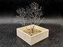 White Sea Fan Coral Gorgonia Ventalina (1 fan approx. 5-6+ inches) Adorable sea fan for any coastal projects or as a collection addition! Pale wide branching coral fan. Copy right 2024 SeaShellSupply.com