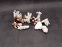 Medium Coral Pieces (5 coral pieces approx. 3+ inches) Coral pieces to add to any coastal display or collection! Multiple different brown and white Coral pieces. Copy right 2025 SeaShellSupply.com