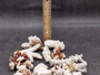 Medium Coral Pieces (5 coral pieces approx. 3+ inches) Coral pieces to add to any coastal display or collection! Multiple different brown and white Coral pieces. Copy right 2025 SeaShellSupply.com