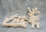 Medium Coral Pieces (5 coral pieces approx. 3+ inches) Coral pieces to add to any coastal display or collection!