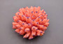 Orange FAUX Finger Coral Acropora Nasuta (1 FAKE Coral approx. 4Wx3Tx4D inches) Perfect coral for any coastal display! Orange round spike coral with a purple tip. Copyright 2024 SeaShellSupply.com.