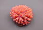 Orange FAUX Finger Coral Acropora Nasuta (1 FAKE Coral approx. 4Wx3Tx4D inches) Perfect coral for any coastal display! Orange round spike coral with a purple tip. Copyright 2024 SeaShellSupply.com.