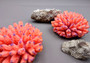 Orange Faux Finger Coral Acropora Nasuta - (1 Faux Coral approx. 4Wx3Tx4D inches)