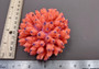 Orange FAUX Finger Coral Acropora Nasuta (1 FAKE Coral approx. 4Wx3Tx4D inches) Perfect coral for any coastal display!