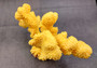 Yellow FAUX Cauliflower Coral Pocillopora Eydouxi (1 FAUX Coral approx. 9Wx5Tx4D inches)