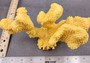 Yellow FAUX Cauliflower Coral Pocillopora Eydouxi (1 FAUX Coral approx. 9Wx5Tx4D inches)