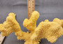 Yellow FAUX Cauliflower Coral Pocillopora Eydouxi (1 FAUX Coral approx. 9Wx5Tx4D inches)