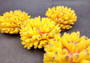 Yellow FAUX Finger Staghorn Coral Acropora Humilis (1 FAKE Coral approx. 4Wx3Tx4D) Perfect coral for any coastal display or crafting! Copyright 2024 SeaShellMart101.com.