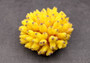 Yellow FAUX Finger Staghorn Coral Acropora Humilis (1 FAKE Coral approx. 4Wx3Tx4D) Perfect coral for any coastal display or crafting! Copyright 2024 SeaShellMart101.com.