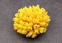 Yellow FAUX Finger Staghorn Coral Acropora Humilis (1 FAUX Coral approx. 4Wx3Tx4D)