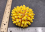 Yellow FAUX Finger Staghorn Coral Acropora Humilis (1 FAUX Coral approx. 4Wx3Tx4D)
