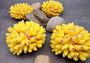 Yellow FAUX Finger Staghorn Coral Acropora Humilis (1 FAKE Coral approx. 4Wx3Tx4D) Perfect coral for any coastal display or crafting!