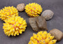 Yellow FAUX Finger Staghorn Coral Acropora Humilis (1 FAUX Coral approx. 4Wx3Tx4D)