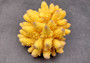 Yellow FAUX Finger Coral - Acropora Humilis - (1 FAUX Coral approx. 5.5Wx3.5Tx5D inches) on grey background. Copyright 2024 SeaShellSupply.com.