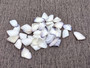 Blue White Coquina Shells Donax Variabilis (approx. 40+ shells 1+ inches) Great group of shells for coastal crafting and décor! Multi-sized pastel shell pieces. Copyright 2024 SeaShellSupply.com