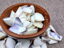 Blue White Coquina Shells Donax Variabilis (approx. 40+ shells 1+ inches) Great group of shells for coastal crafting and décor! Multi-sized pastel shell pieces. Copyright 2024 SeaShellSupply.com