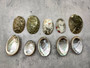 Mini Baby Abalone Green and Silver Seashells (Approx. half pound 85+ shells 1+ inch) Small shells ideal for jewelry art crafts & collecting! Grouping of brown and grey ocean-kissed abalone shells. Copy right 2024 SeaShellSupply.com