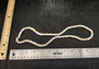 White Puka Seashells Strand (1 strand approx. 16 inches x 4-5+ mm) Beautiful Puka Shells for arts crafts jewelry & decoration!