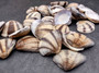 Striped Clam Shells (15 shells approx. 1.25+ inches) Clam shells great for collecting display and coastal crafting. Striped bunching of triangular shells. Copy right 2024 SeaShellSupply.com