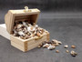 Extra Small Drilled Seashells (approx. 1 cup 180+ shells 0.5+ inch) Perfect shells for coastal crafting and collections! Mixed pastel spiral and wide shells of tan and brown colors with a sprinkle of purple. Copy right 2025 SeaShellSupply.com