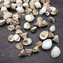 Small Assorted Drilled Seashells Mix (approx. 1 cup +/-85 shells 0.5+ inch) Mixed Drill Shell Assortment for jewelry crafting & art!
