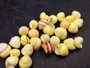 Yellow Banded Snail (7 shells approx. 0.75+ inches) Most adorable snail shell for any coastal collection or display! Pastel yellow and brown spiral stripped shell. Copyright 2025 SeaShellSupply.com.