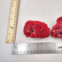 Red Pipe Organ Coral Fragment Tubipora Musica (1 coral approx. 2+ inches) Reddish Coral Chunk Piece for display crafts art & decoration! Copyright 2026 SeaShellSupply.com.