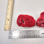Red Pipe Organ Coral Fragment Tubipora Musica (1 coral approx. 2+ inches) Reddish Coral Chunk Piece for display crafts art & decoration! Copyright 2026 SeaShellSupply.com.