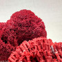 Red Pipe Organ Coral Fragment Tubipora Musica (1 coral approx. 2+ inches) Reddish Coral Chunk Piece for display crafts art & decoration!