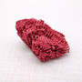 Red Pipe Organ Coral Fragment Tubipora Musica (1 coral approx. 2+ inches) Reddish Coral Chunk Piece for display crafts art & decoration!