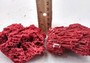 Red Pipe Organ Coral Tubipora Musica (1 coral approx. 3+ inches) Copyright 2024 SeashellSupply.com