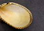 Gold-Plated Single Footed Shell Dish - Cardium Cardium - (1 Shell approx. 3-4 inches)  Single shell dish decorated with gold plating and three gold feet. Copyright 2024 SeaShellSupply.com
