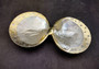 Silver-Plated Duo Footed Pearl Oyster - Pinctada Maxima - (1 Shell Duo Approx. 8-10 inches) Two footed shells decorated with silver plate. Retro Art Deco style. Copyright 2024 SeaShellSupply.com