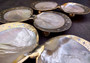 Silver Edged Oyster Seashell Dish Pearl Pinctada Maxima (1 dish approx. 8-9+ inches) Silver plated oyster shell dish for any coastal home!