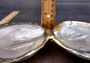 Silver Edged Oyster Seashell Dish Pearl Pinctada Maxima (1 dish approx. 8-9+ inches) Silver plated oyster shell dish for any coastal home!