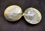 Silver Edged Oyster Seashell Dish Pearl Pinctada Maxima (1 dish approx. 8-9+ inches) Silver plated oyster shell dish for any coastal home!