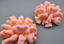Pink Pacific Elkhorn FAUX Coral - Stylophora Pistillata) (1 Fake Coral approx. 6Wx3Dx6T inches) on light background. Copyright 2024 SeaShellSupply.com.