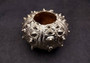 Silver-Plated Sputnik Urchin - Phyllacanthus imperialis - (1 Urchin approx. 2.5-3 inches) One silver plated urchin shell. Copyright 2024 SeaShellSupply.com